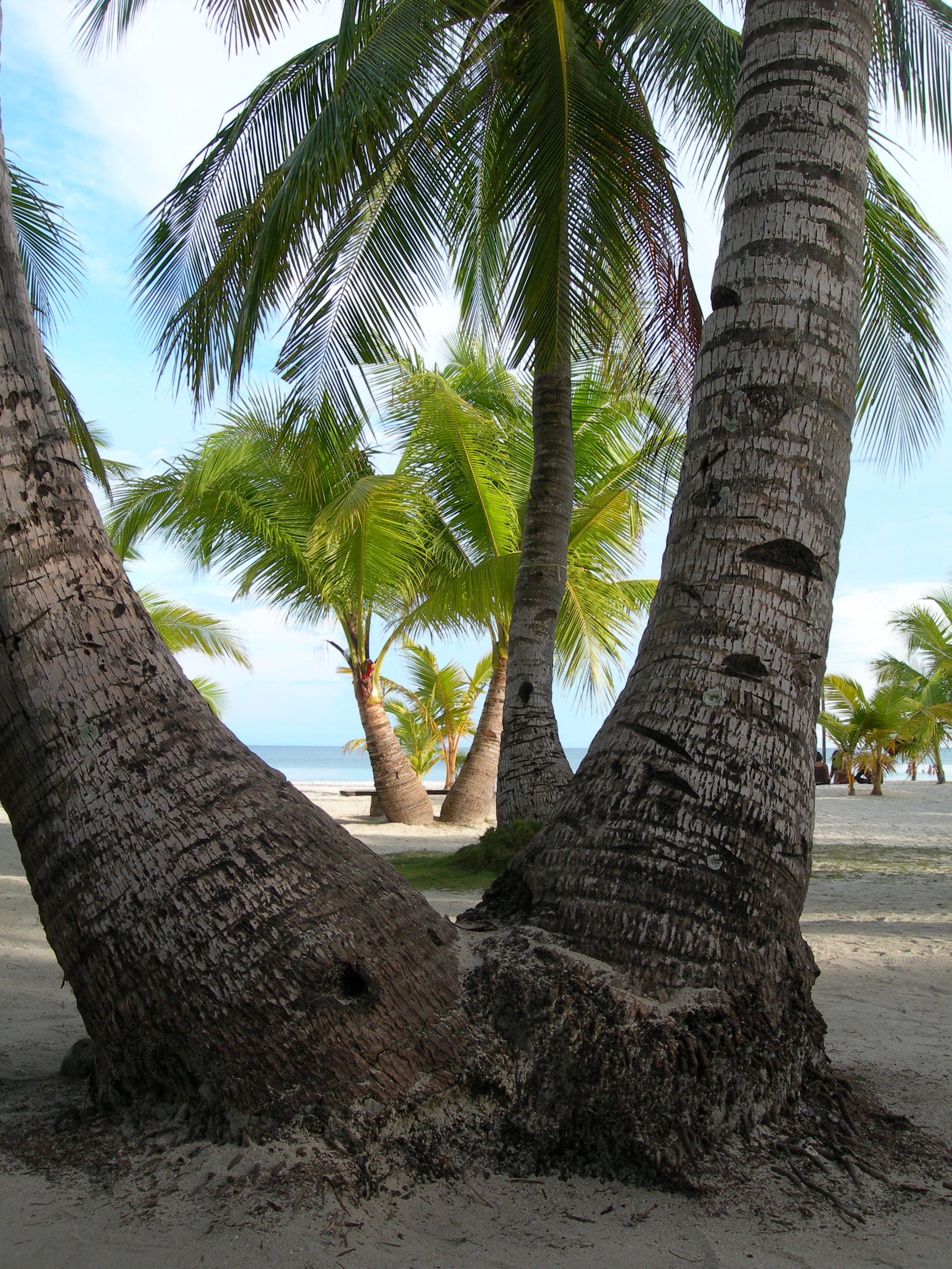 Bantayan%2520Sugarbeach%252025-001.JPG