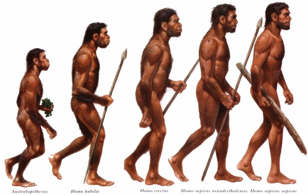 homo-sapiens-sapiens-1024x650.jpg