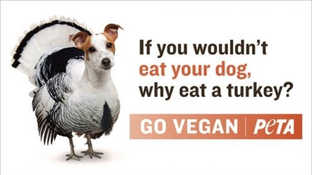 If-You-Wouldnt-Eat-Your-Dog-Why-Eat-A-Turkey-Funny-Thanksgiving.jpg