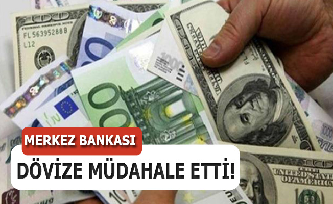 merkez_bankasi_dovize_mudahale_etti_h13577_6a9c0.jpg