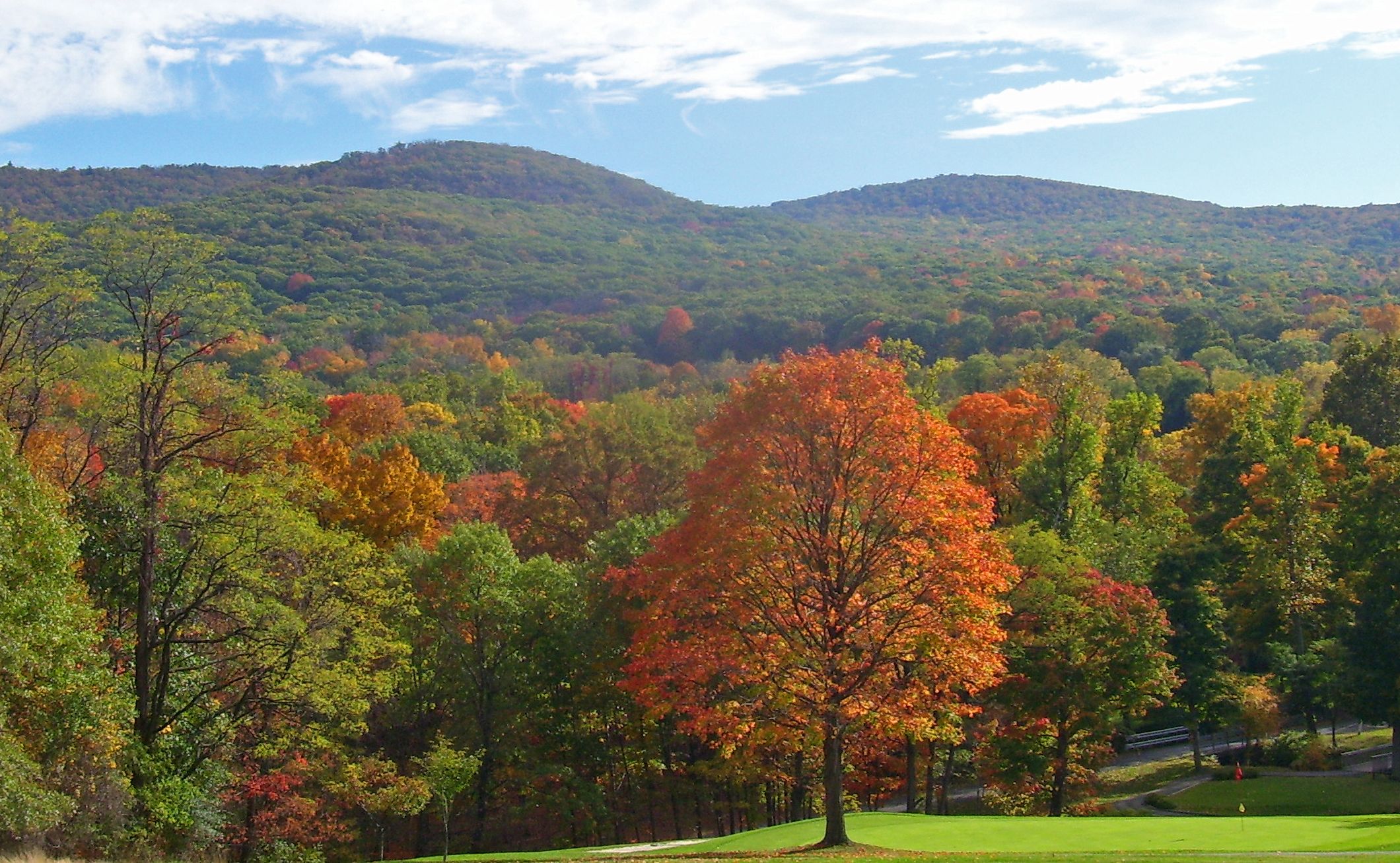 Black_Rock_Forest_view_from_NE.jpg