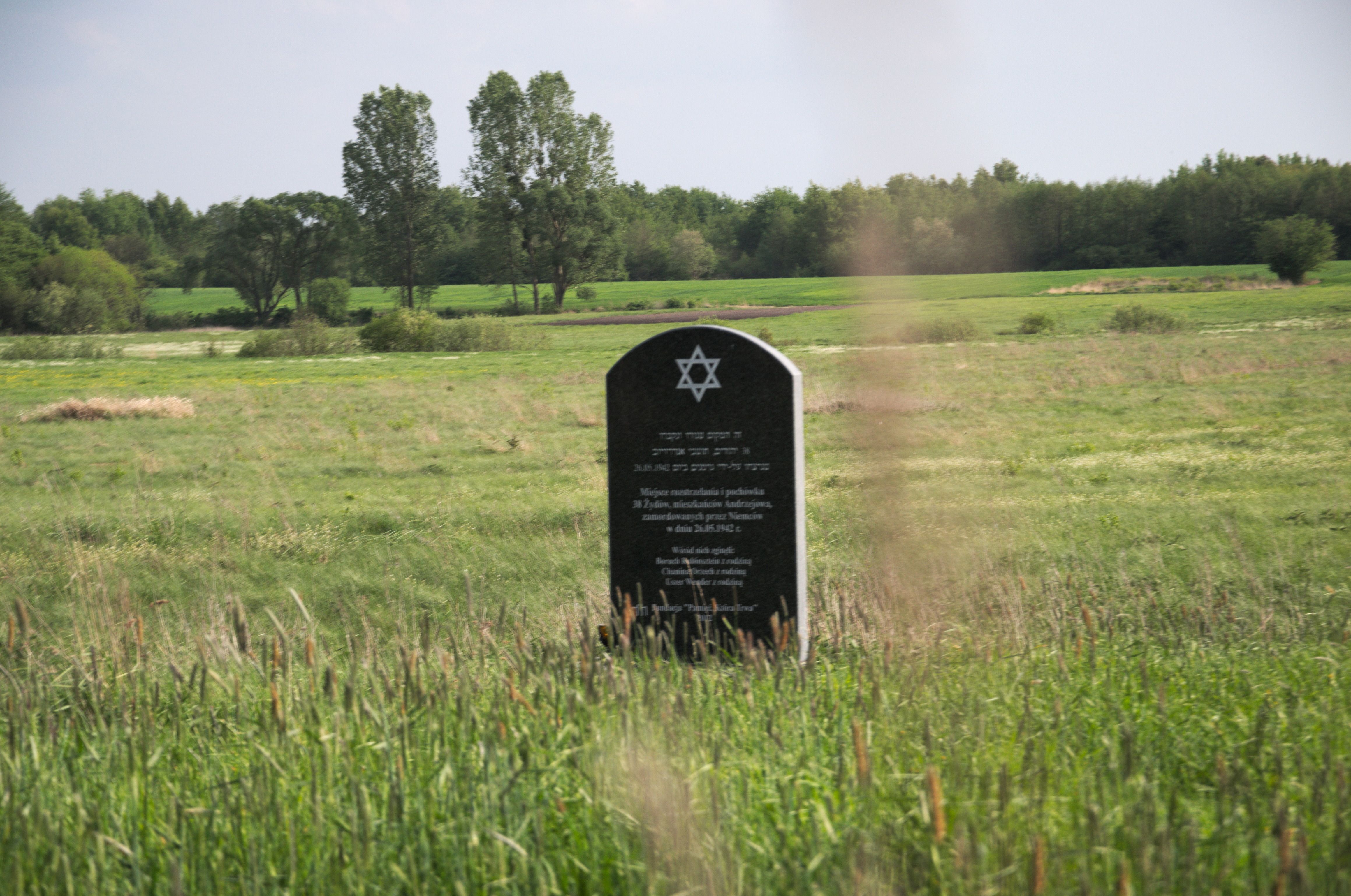 DSC_0624.jpg
