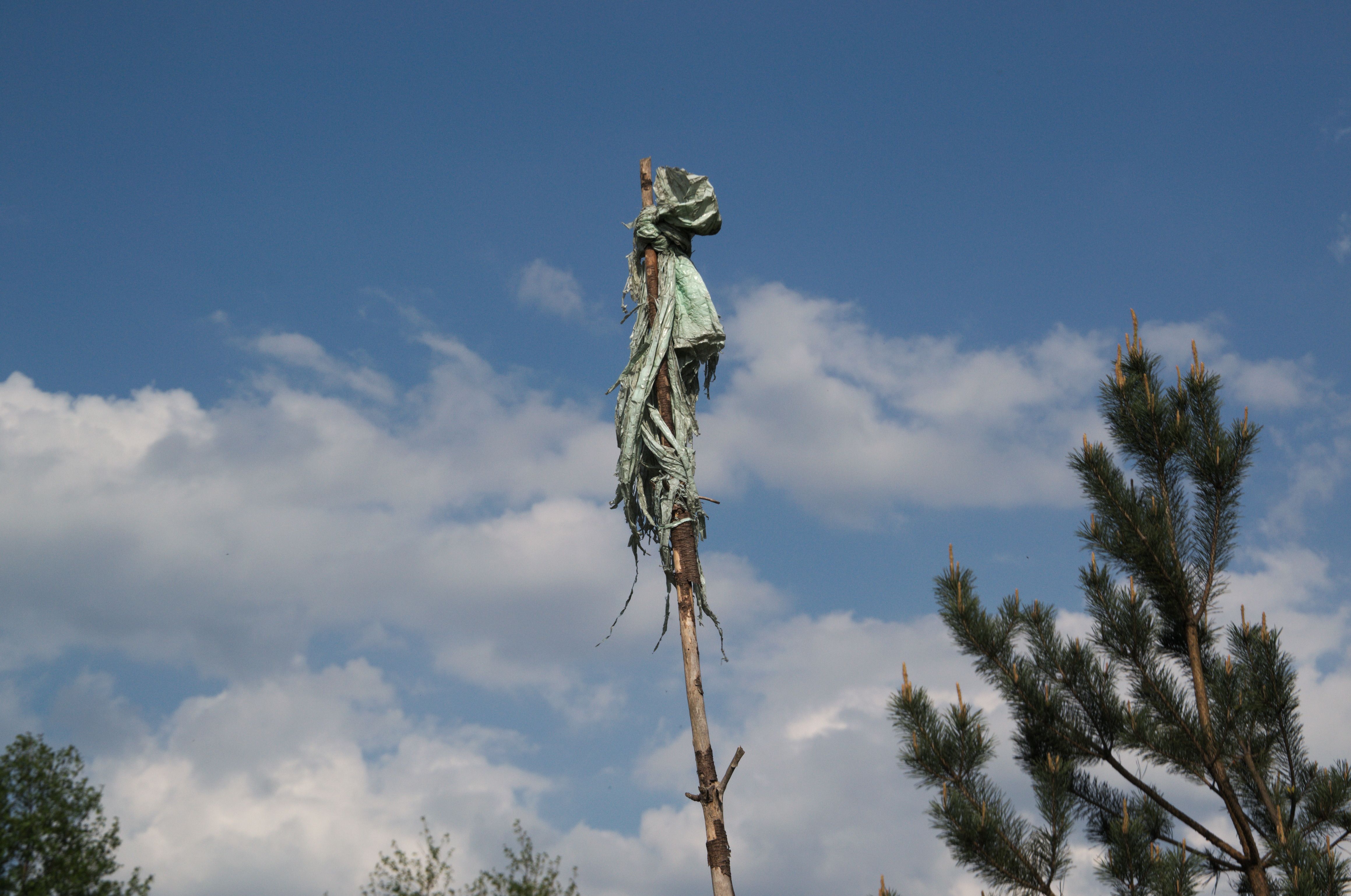 DSC_0601.jpg