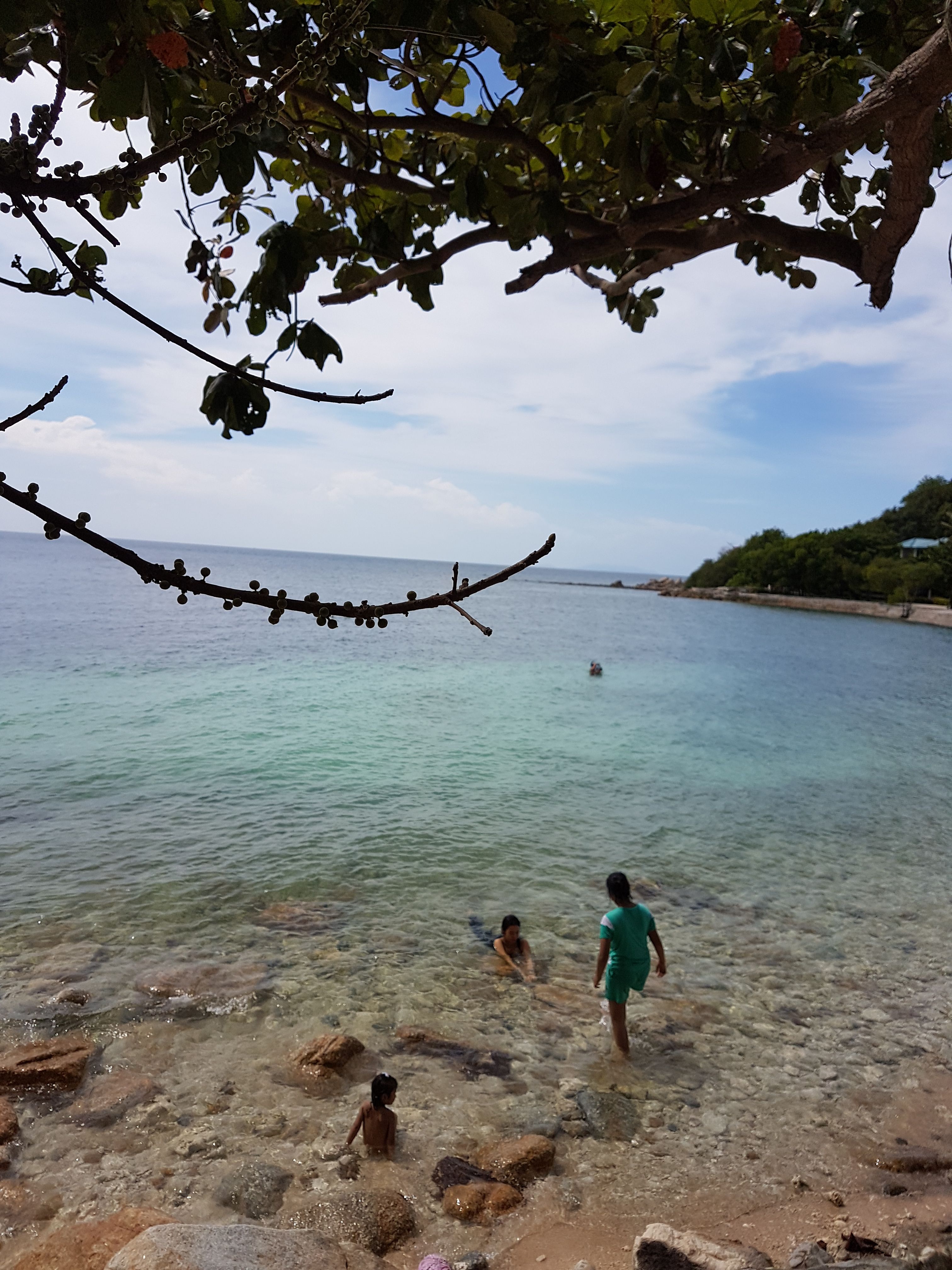 20170830_142739.jpg