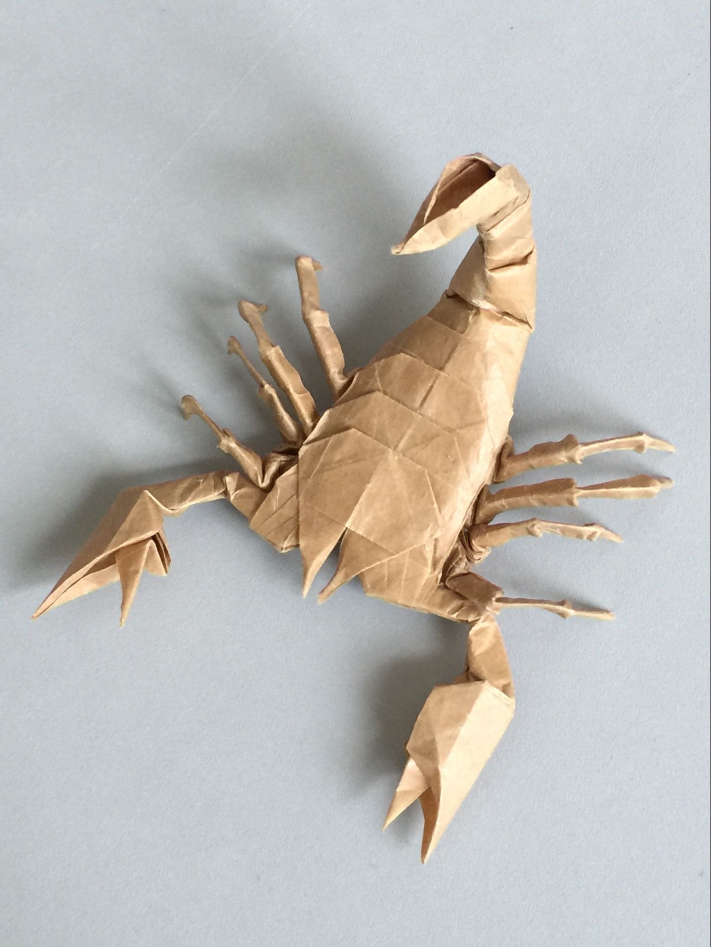origami-4.jpg