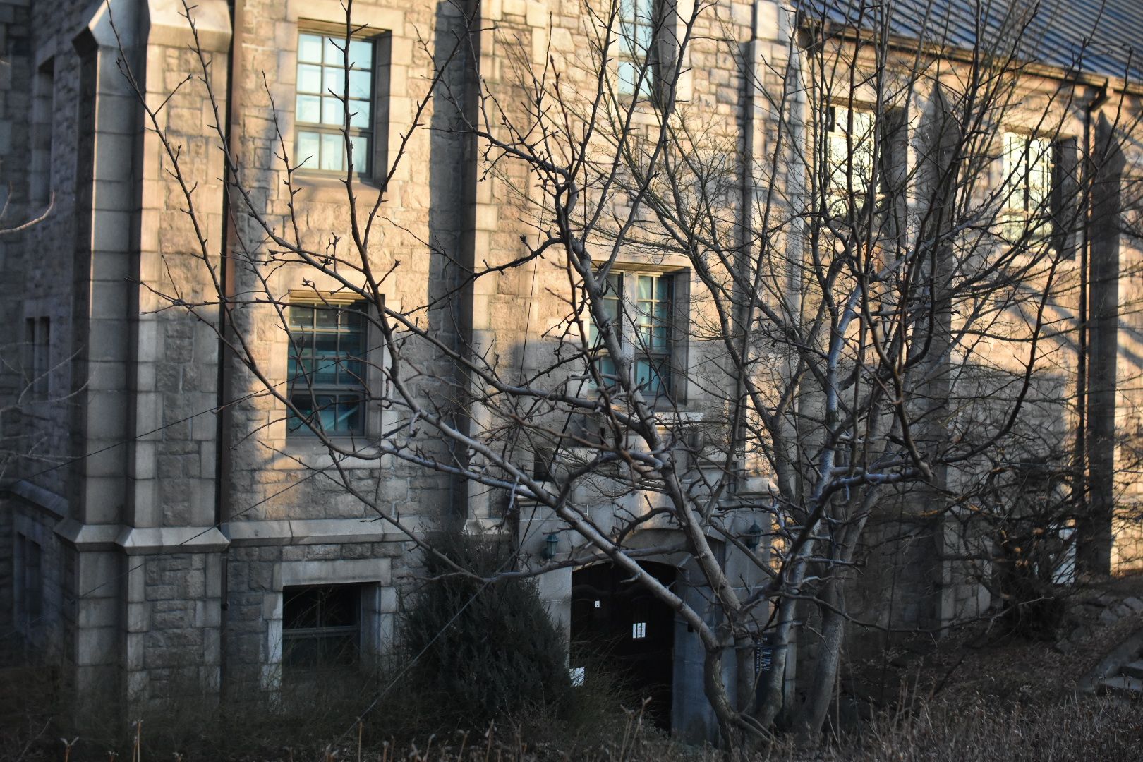 DSC_1086.JPG