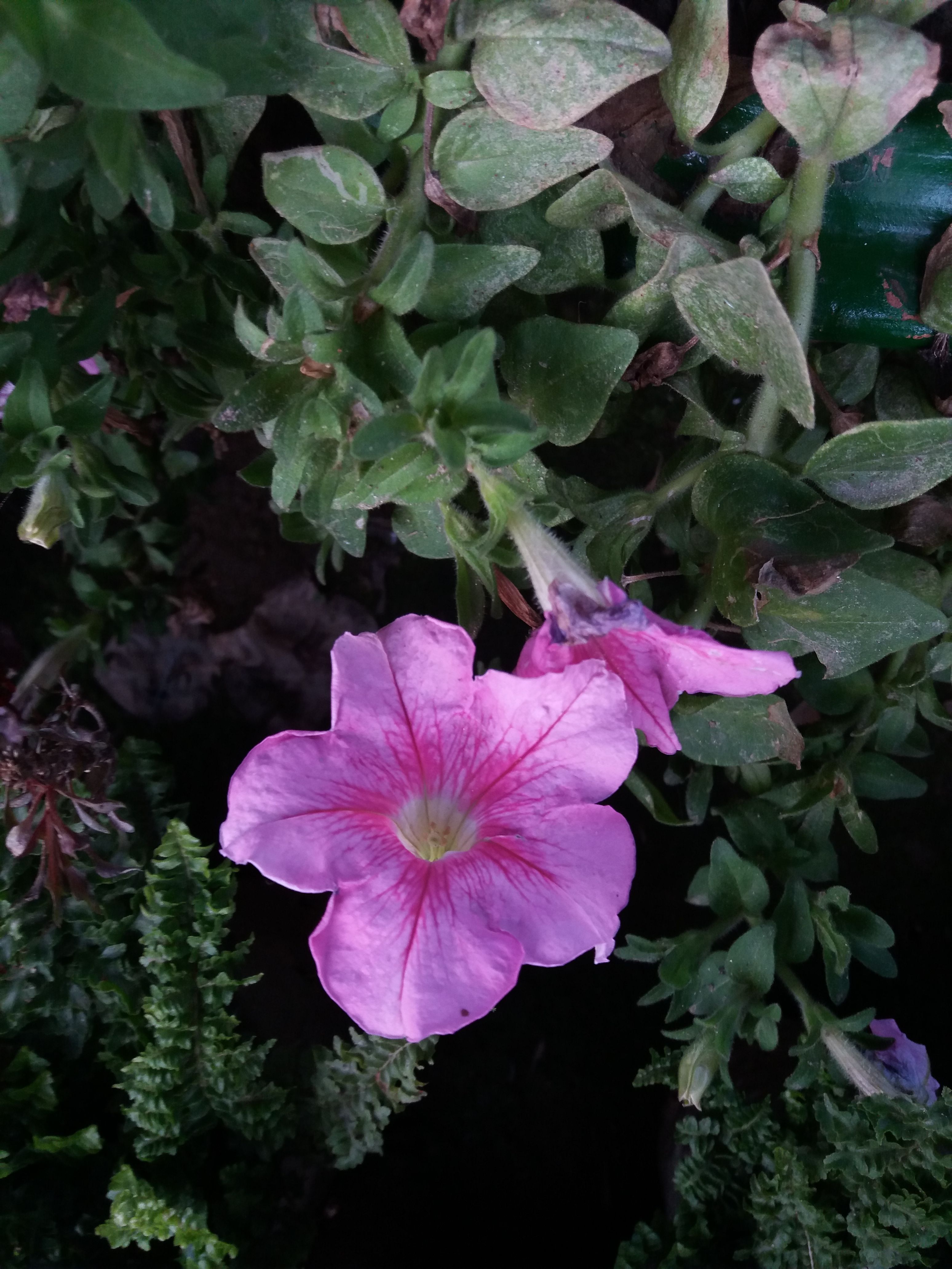 20180413_173702.jpg