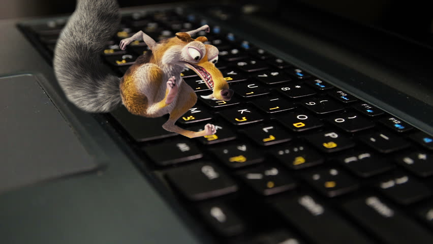 keyboard with squirrel.jpg