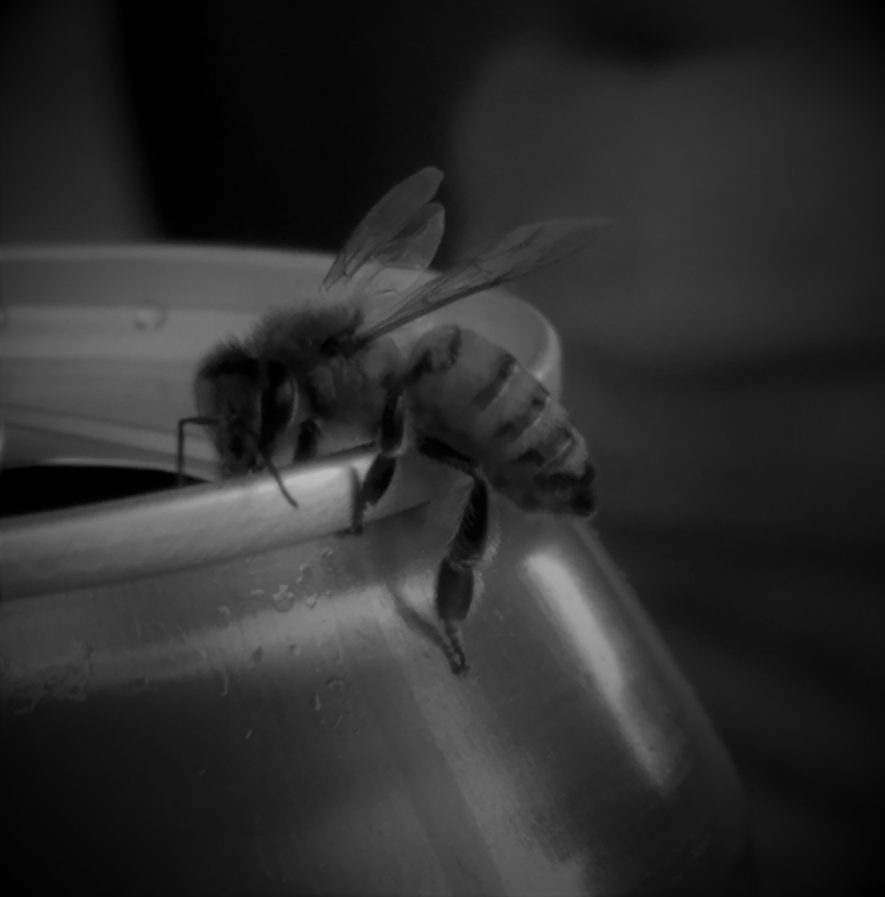 20171005_175652 (2).jpg