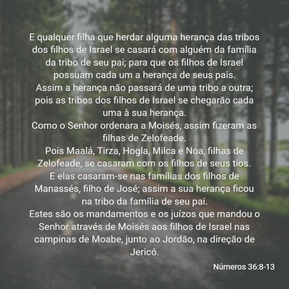 bol_Números_36_8-13.png