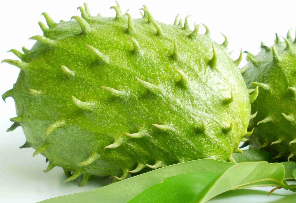 10 Health Advantages Of Guyabano Soursop Steemit