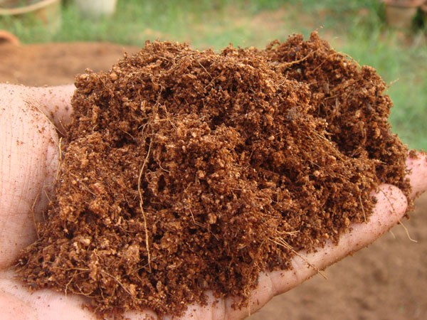 coco-peat.jpg