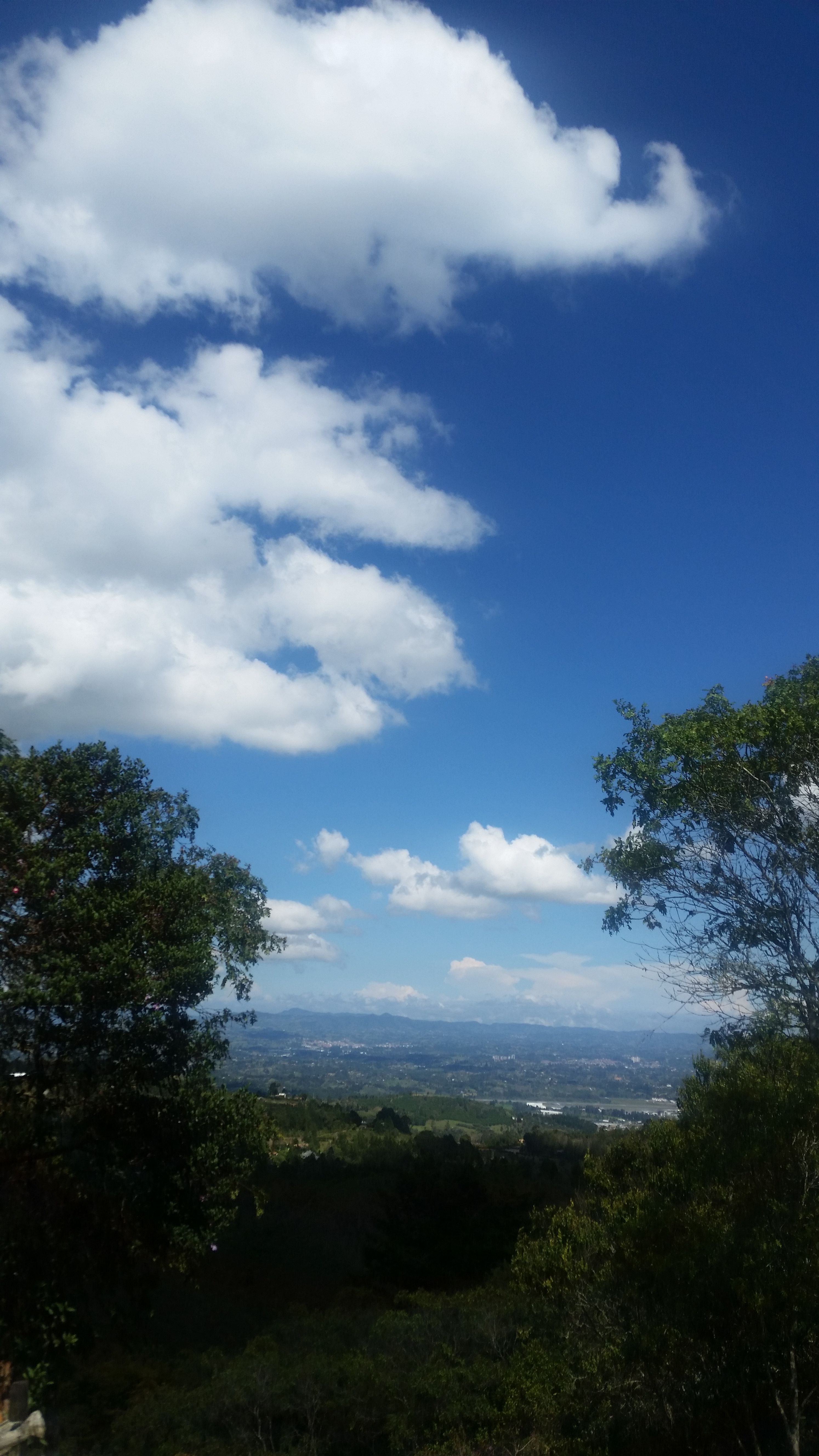 20170919_141738.jpg