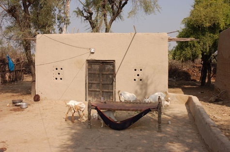 pakistan-mud-brick.jpg