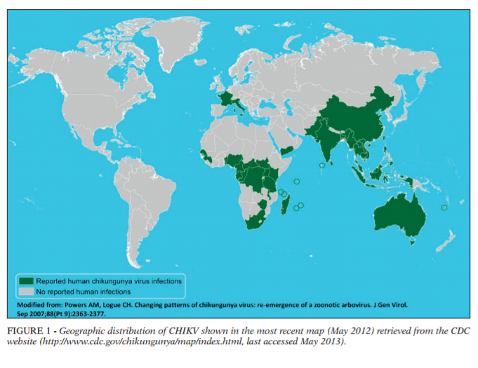 eighth Chikungunya.png