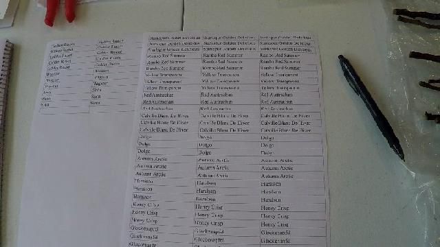 Types to cut out.jpg