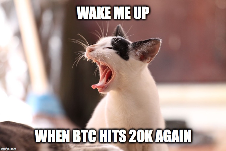 26s650.jpg