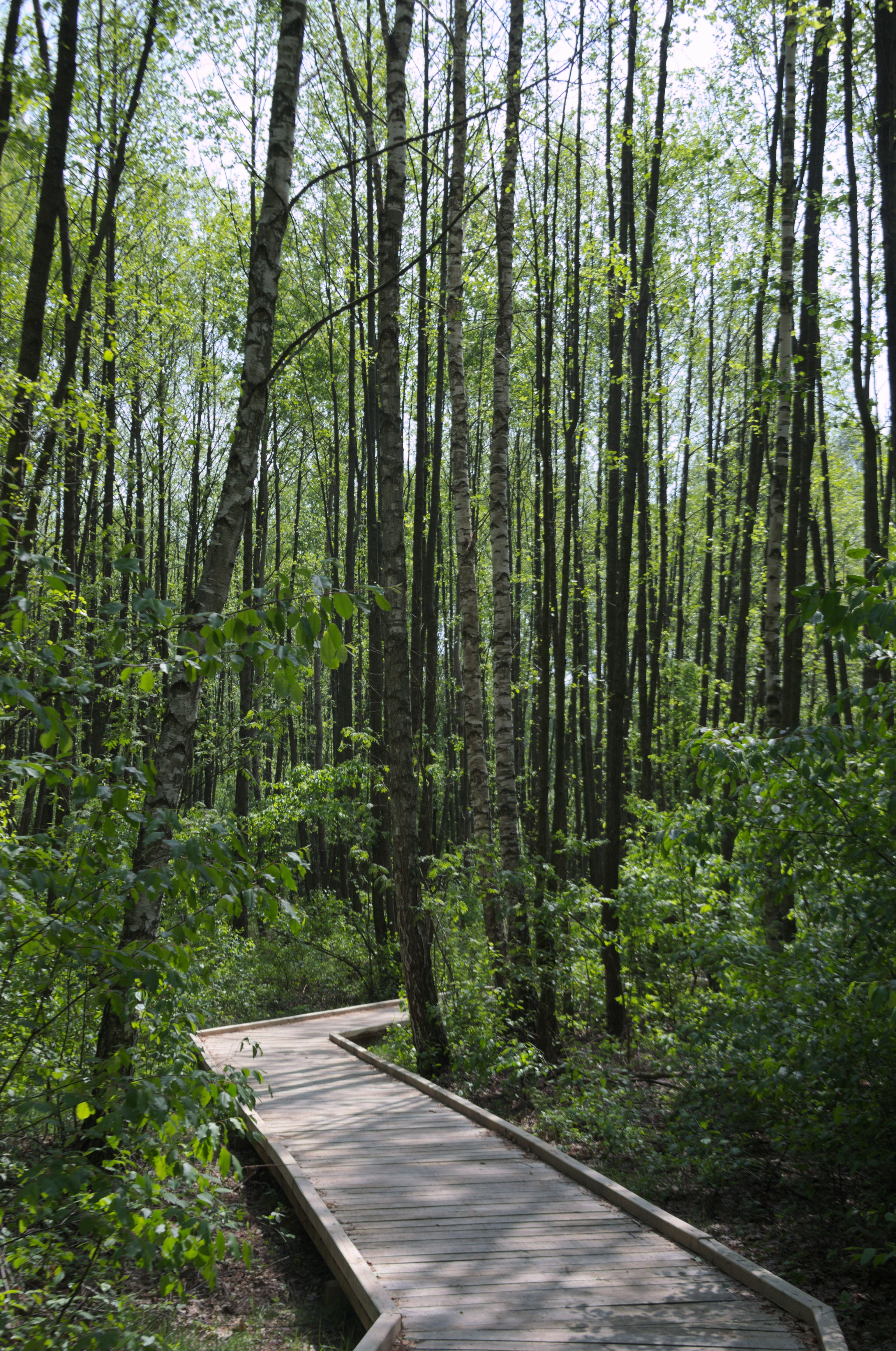 DSC_0325.jpg