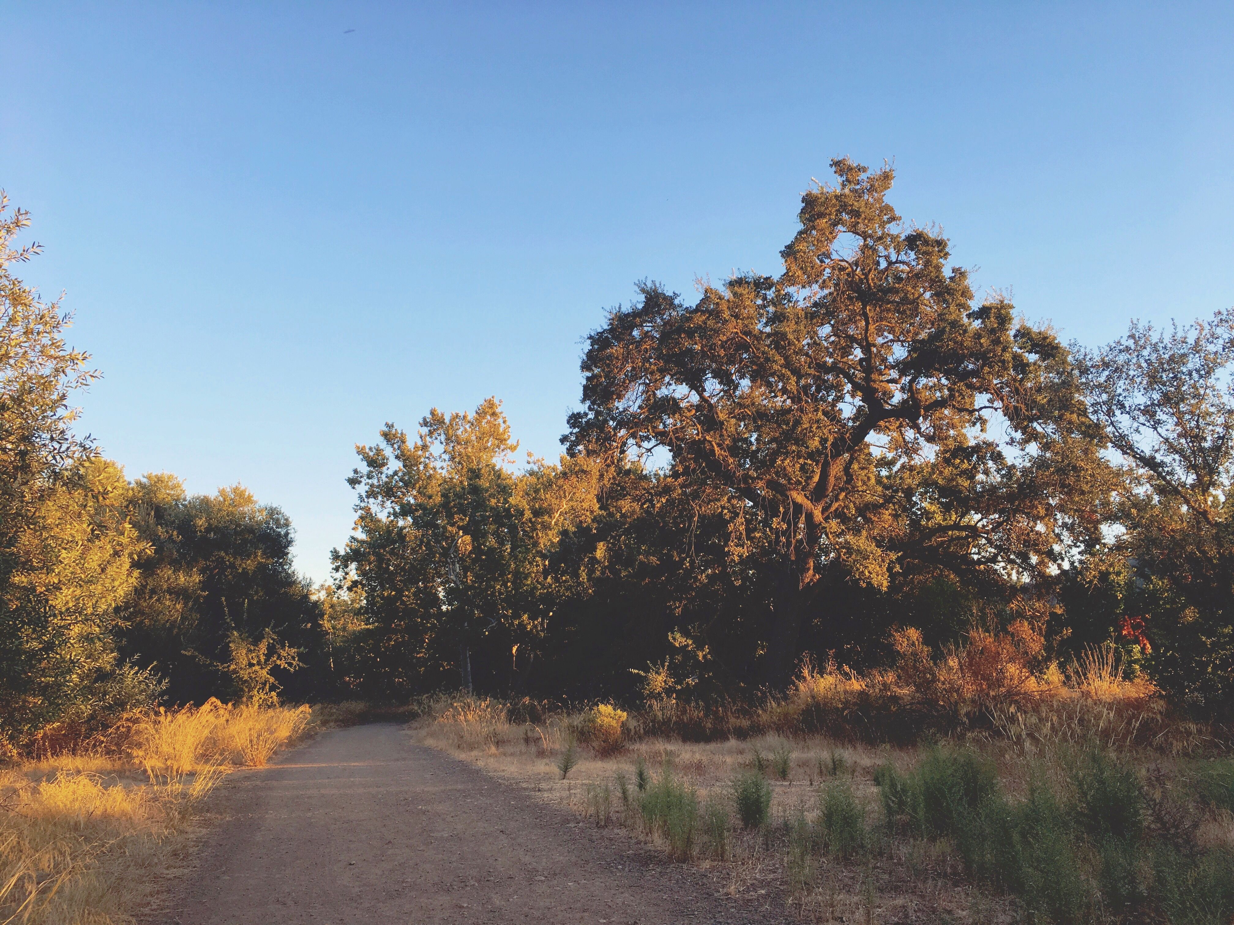 Nature Creek Trail - October California 007.JPG