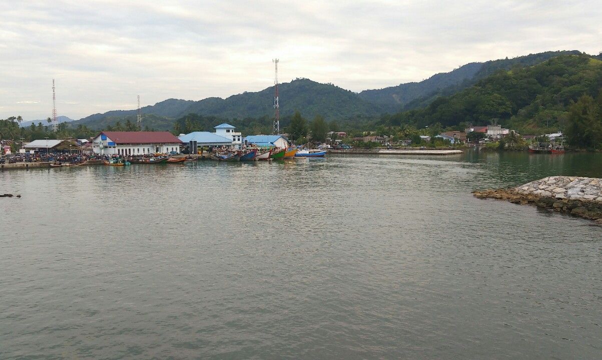 IMG_20180113_070217_1516271632071.jpg
