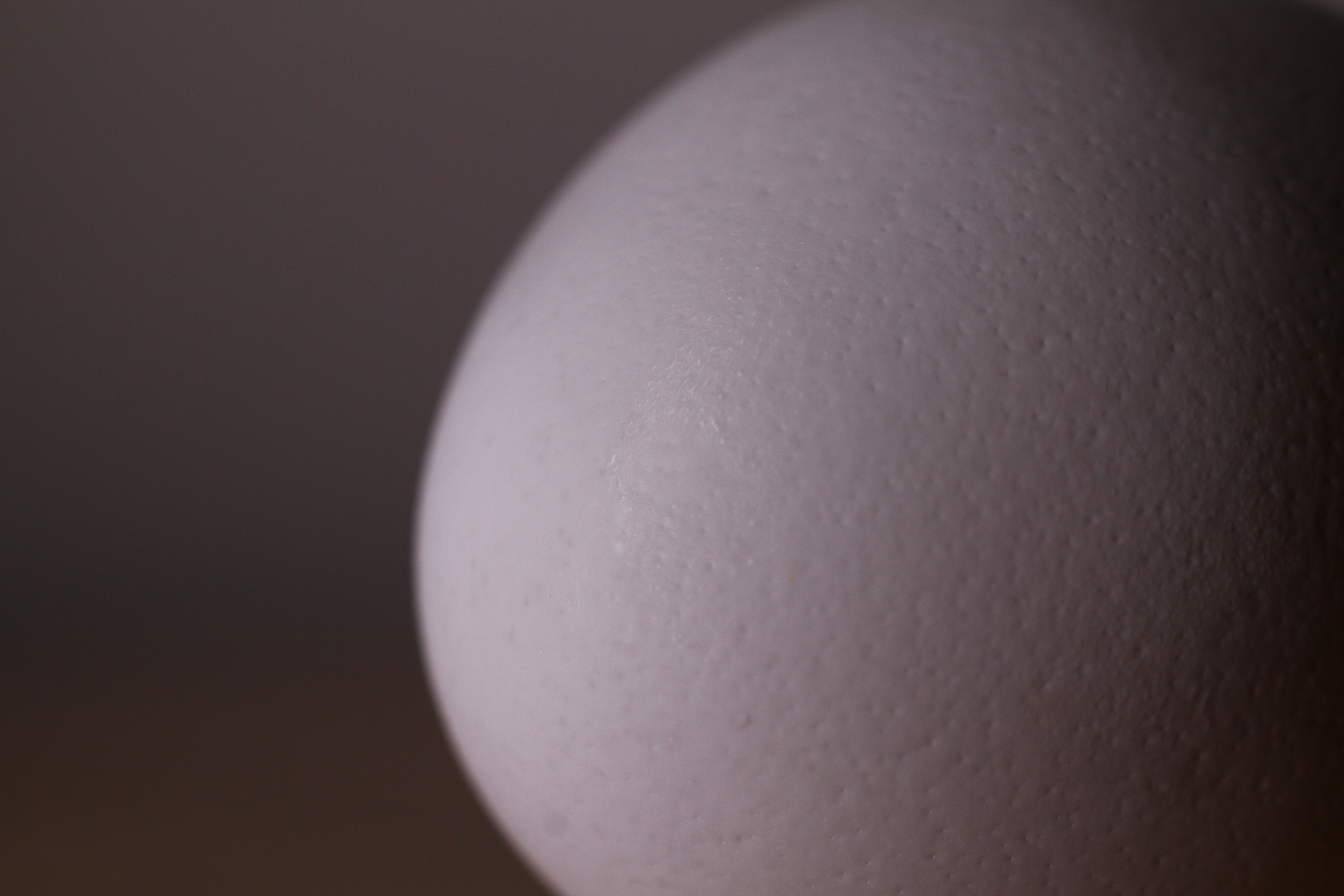 egg-4.jpg