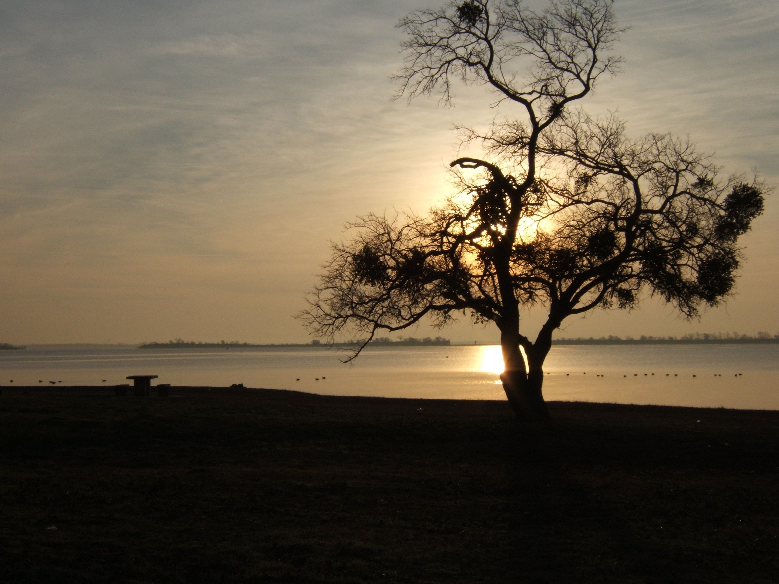 LAKE0205 016.jpg