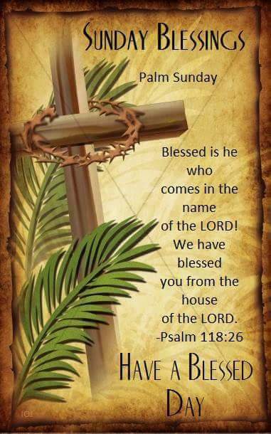 A Blessed Palm Sunday Steemkr