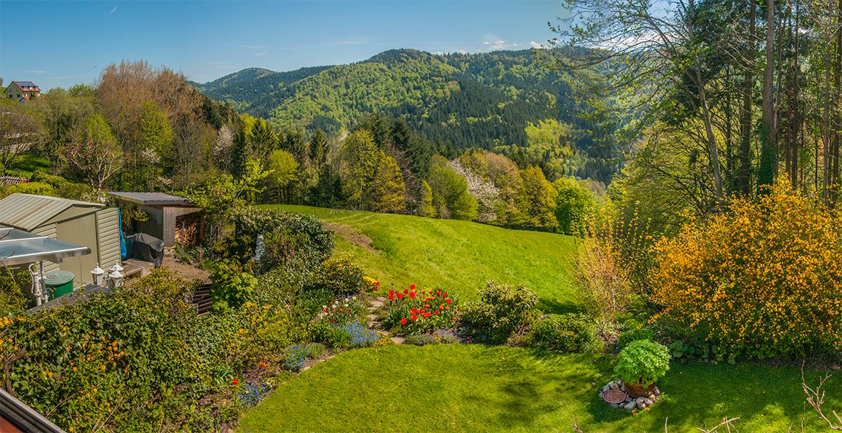 Fensterblick Frühling Kopie.jpg