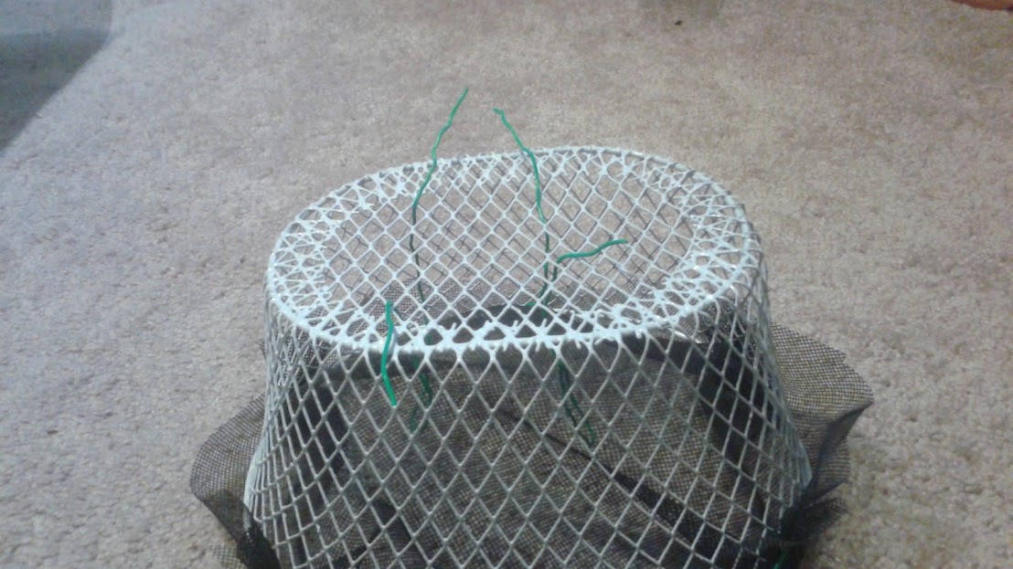 20180415_191011.jpg