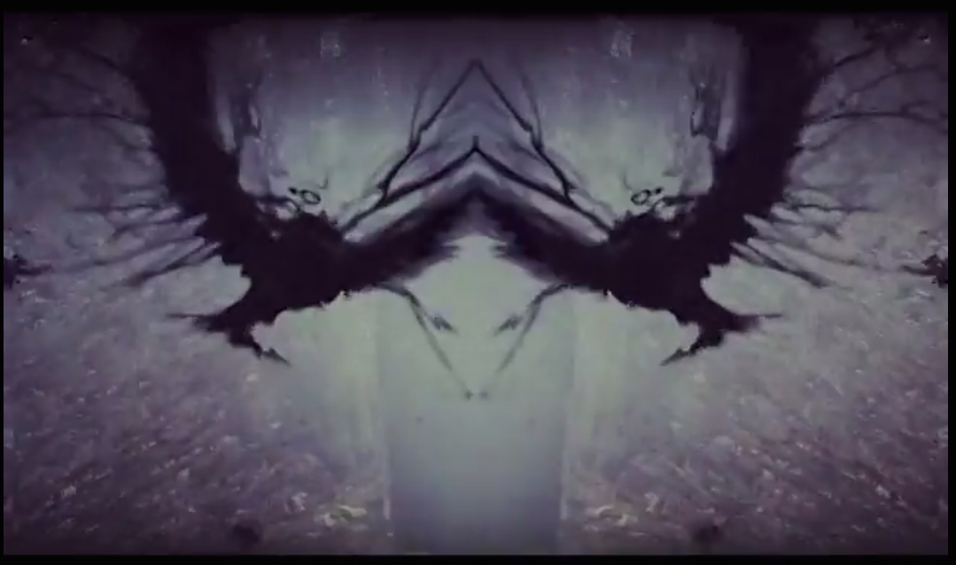 Wings.png