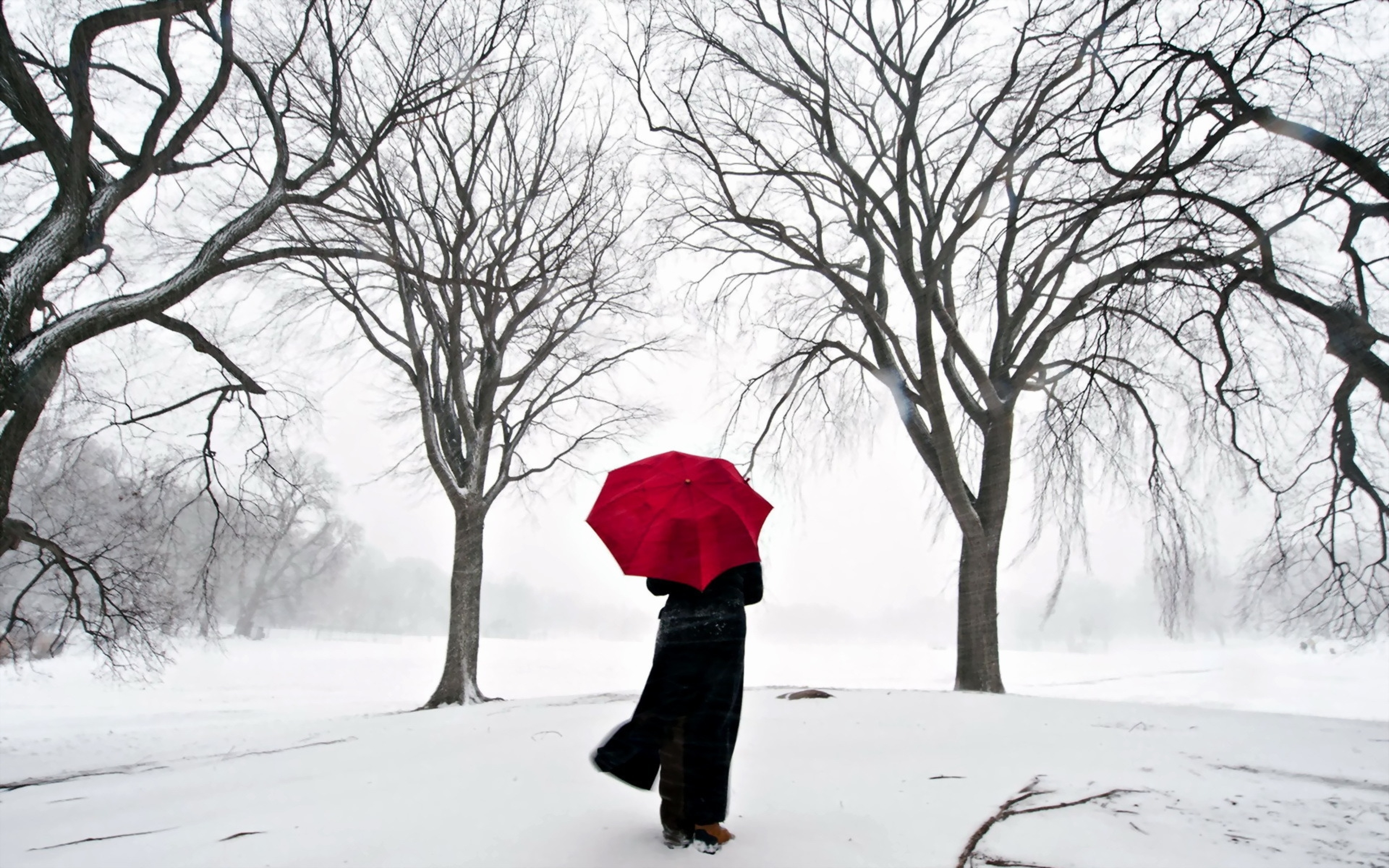 girl_umbrella_cherry_snow_japan_31460_3840x2400.jpg