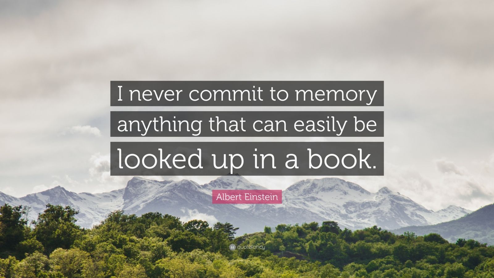 2493891-Albert-Einstein-Quote-I-never-commit-to-memory-anything-that-can.jpg