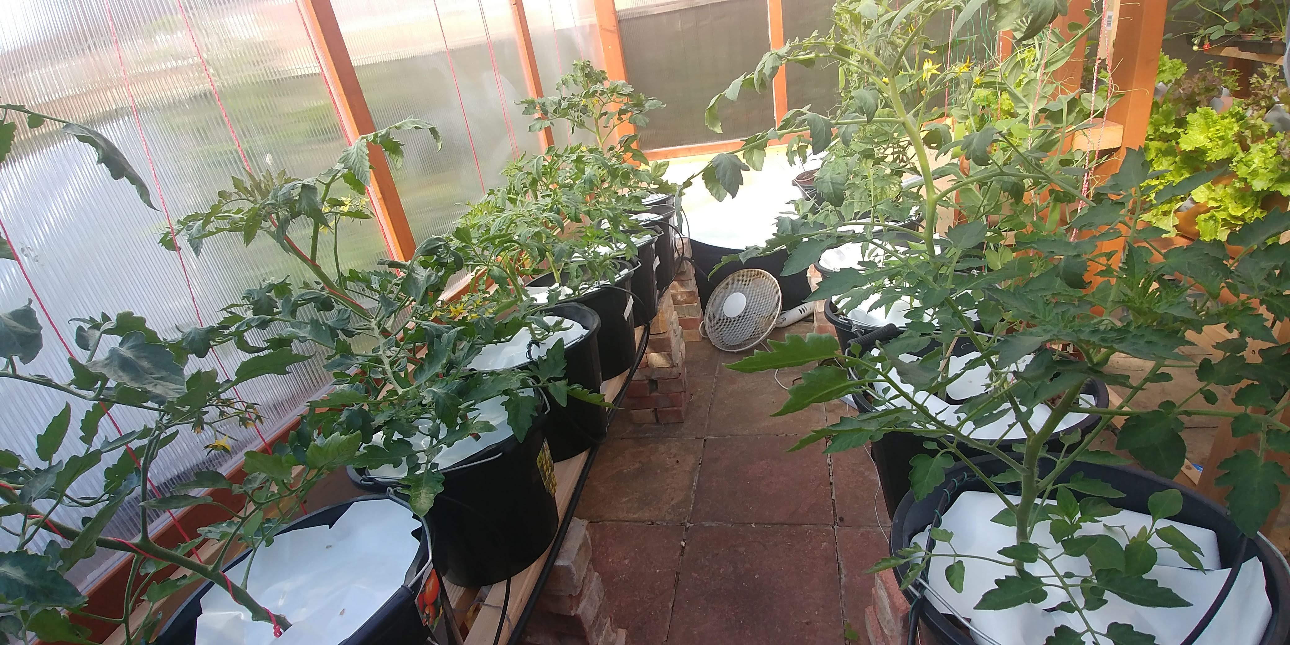 20180522_090213.jpg