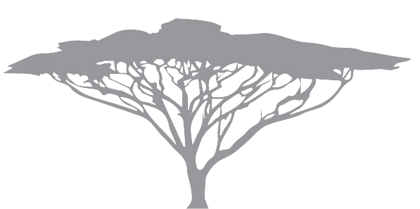 logo-tree.png