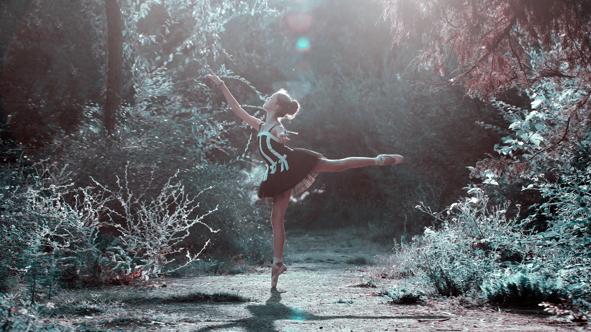 ballet-pose-1725207_1920.jpg