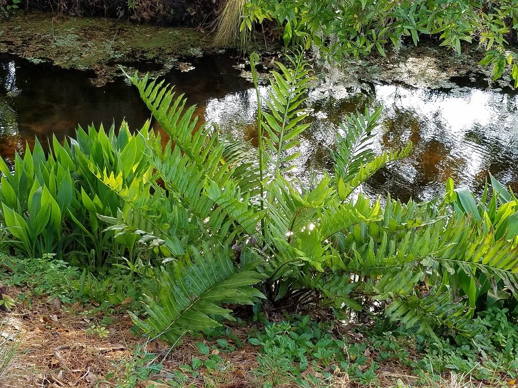20180319_170012.jpg