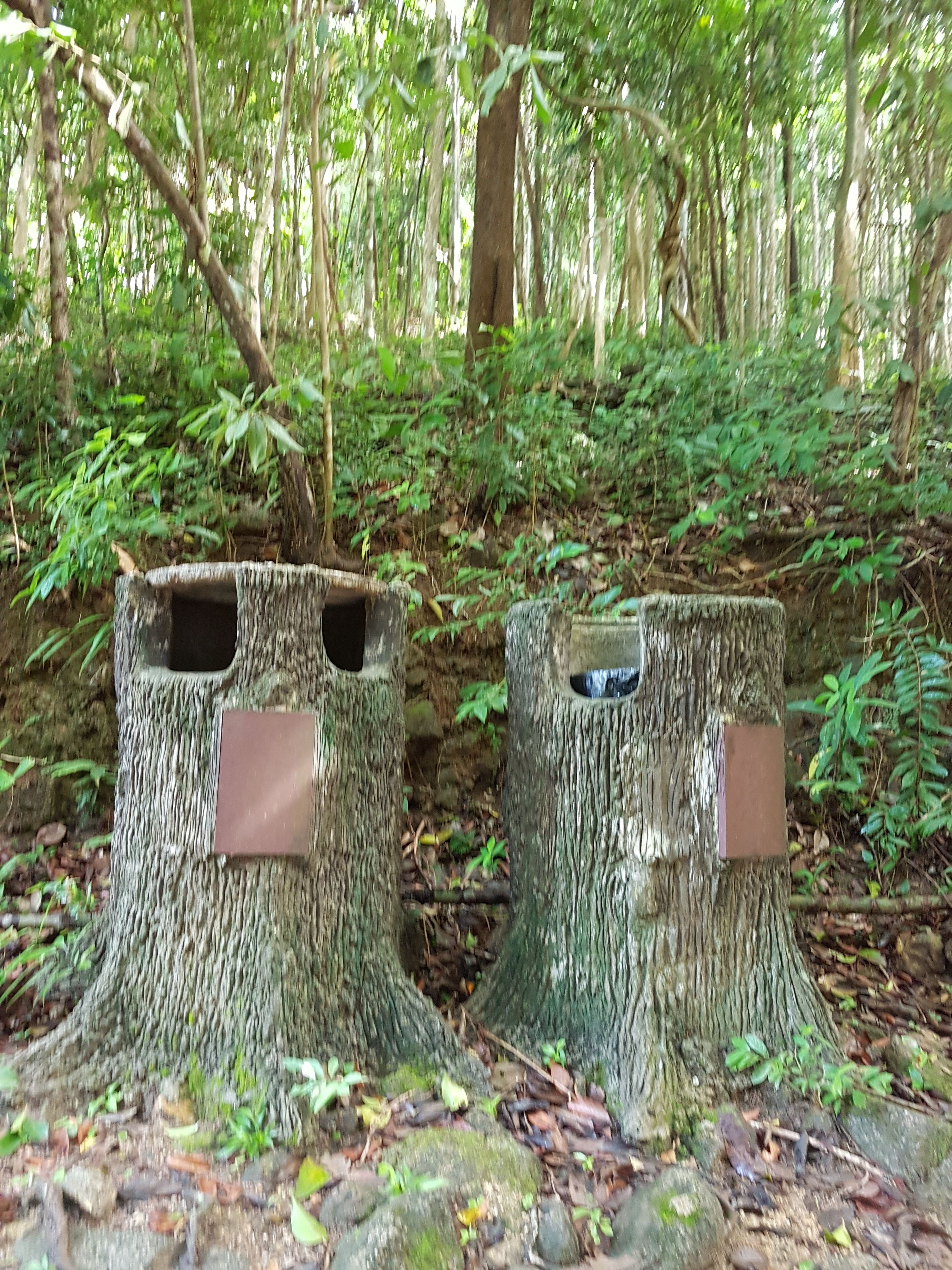 20171004_091725.jpg