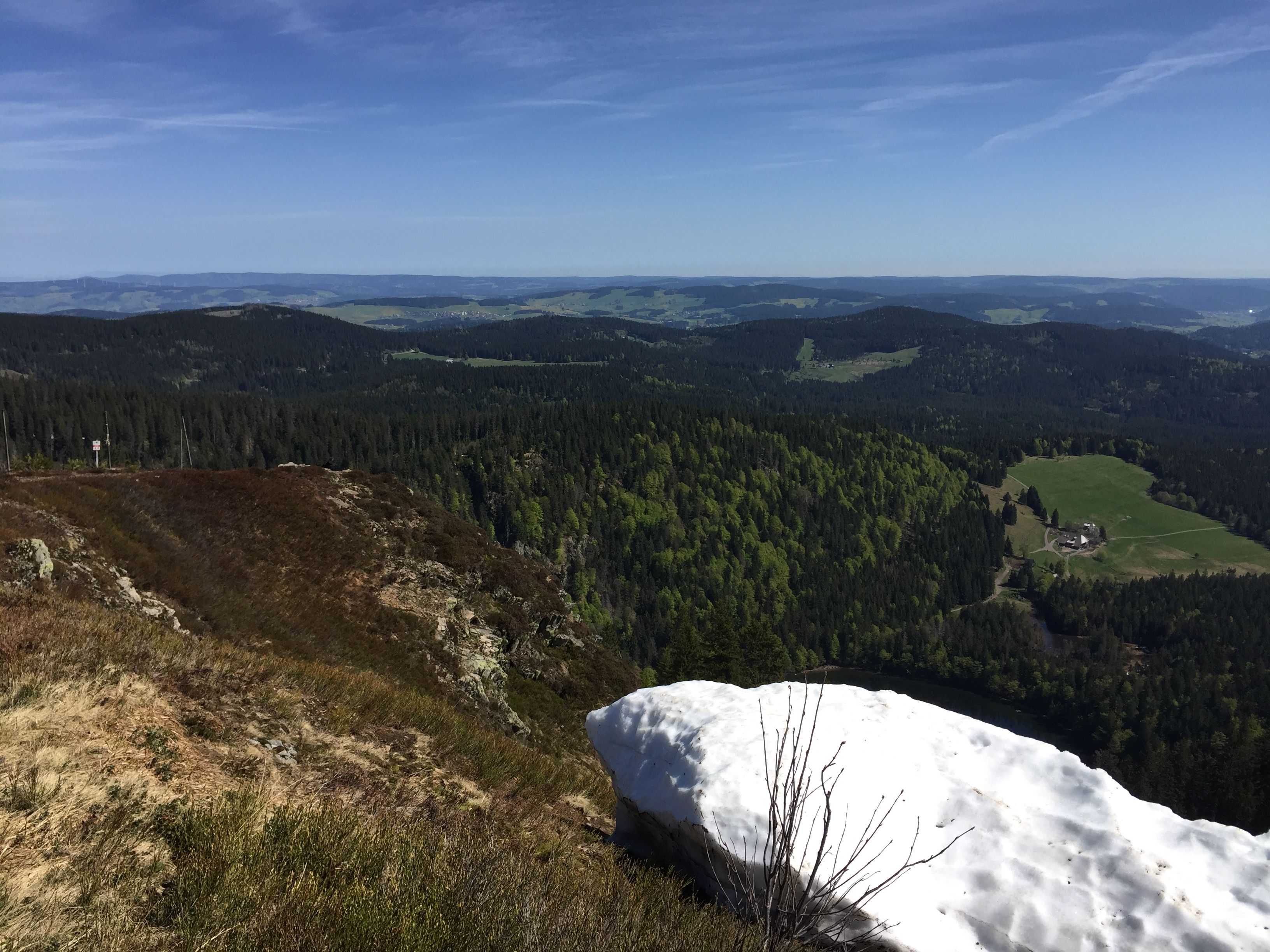 Top of Feldberg & Black Forest