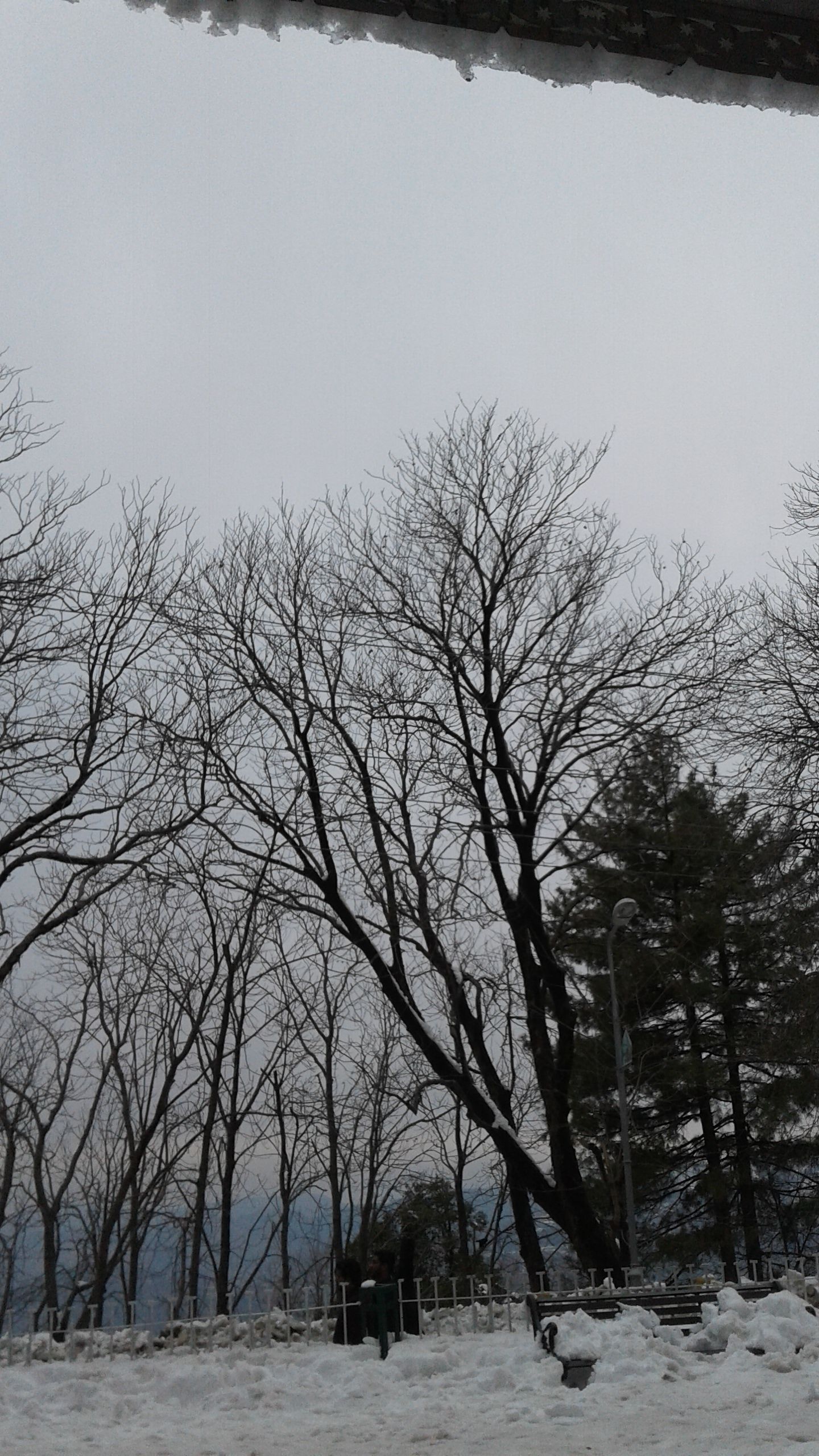 20180214_155209.jpg