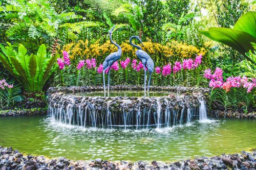 Taman-Anggrek-di-Singapore-The-National-Botanical-Garden-2-500x333.jpg
