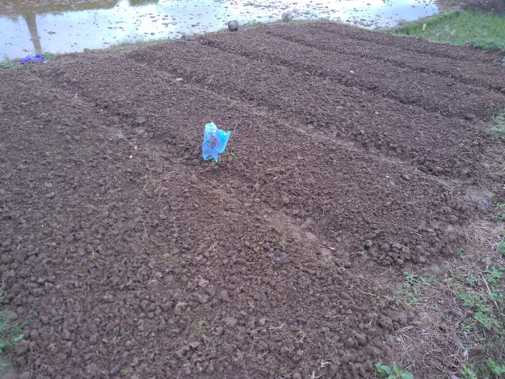 WhatsApp Image 2018-01-19 at 14.18.55.jpeg