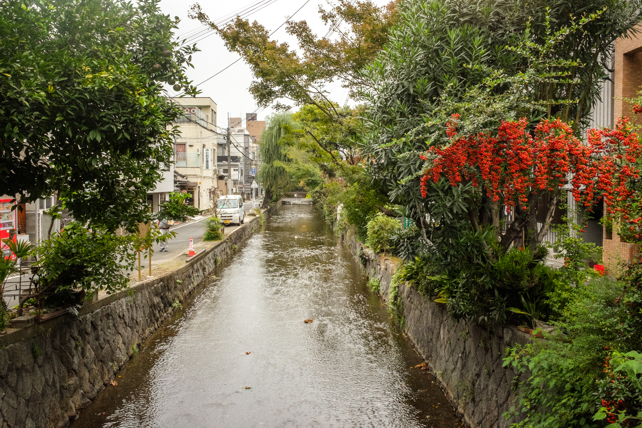 2016-10-28 13-29-44 FUJI0445.jpg