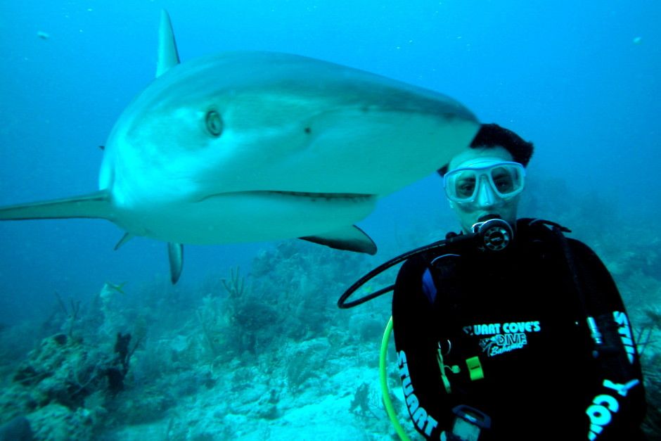 shark-diving1-940x627.jpg