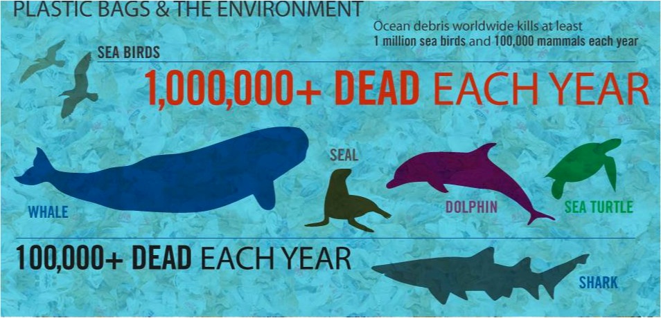 Is It Really Worth The Convenience 6 Ways Plastic Is Harming Animals 