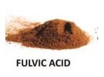 Fulvic Acid.jpg