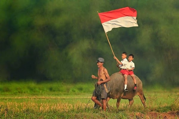 88+ Gambar Anak Kecil Bawa Bendera Merah Putih HD