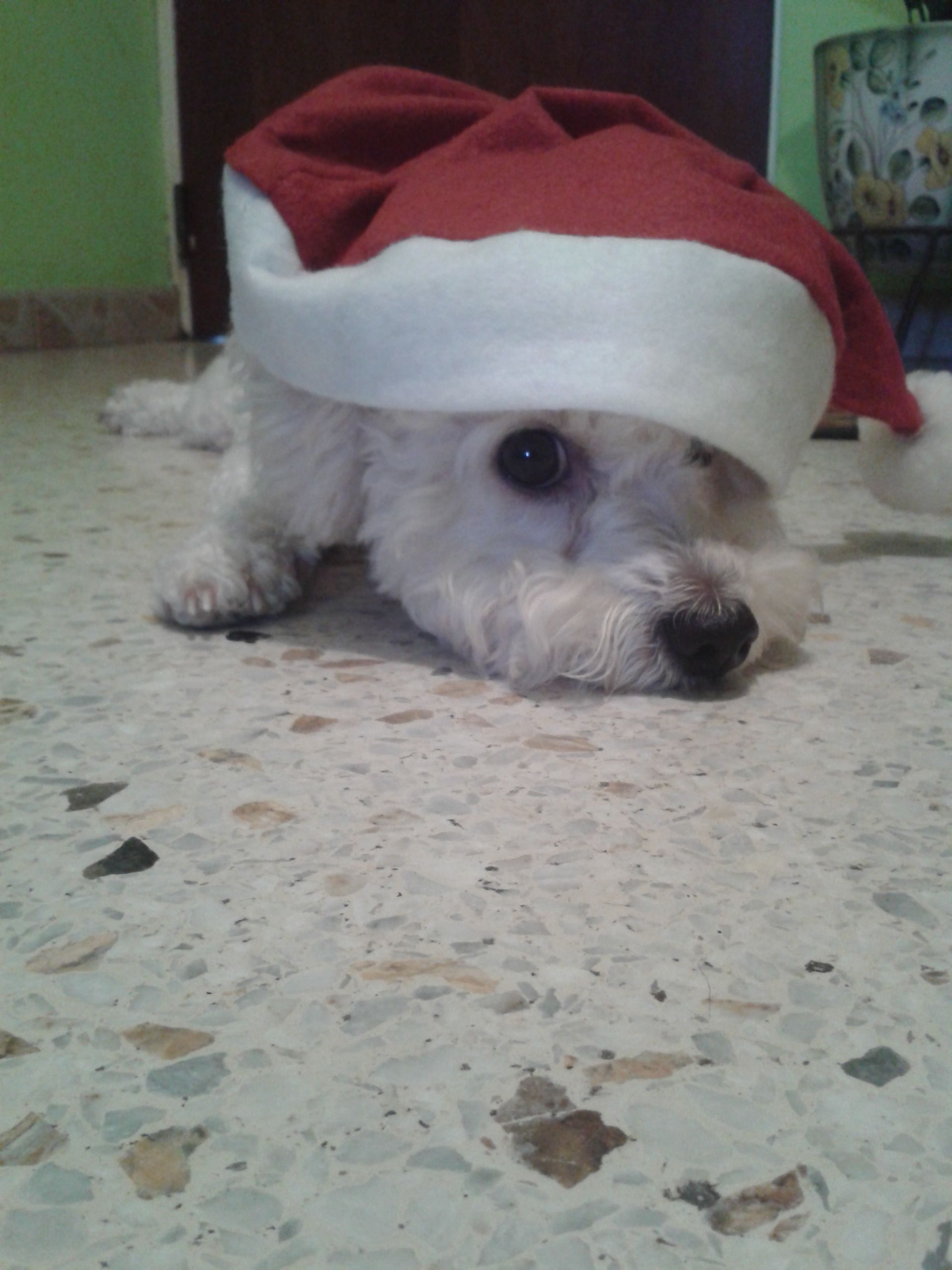 20141212_171619.jpg