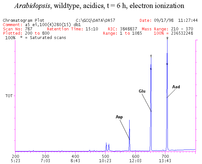 Slide13.GIF
