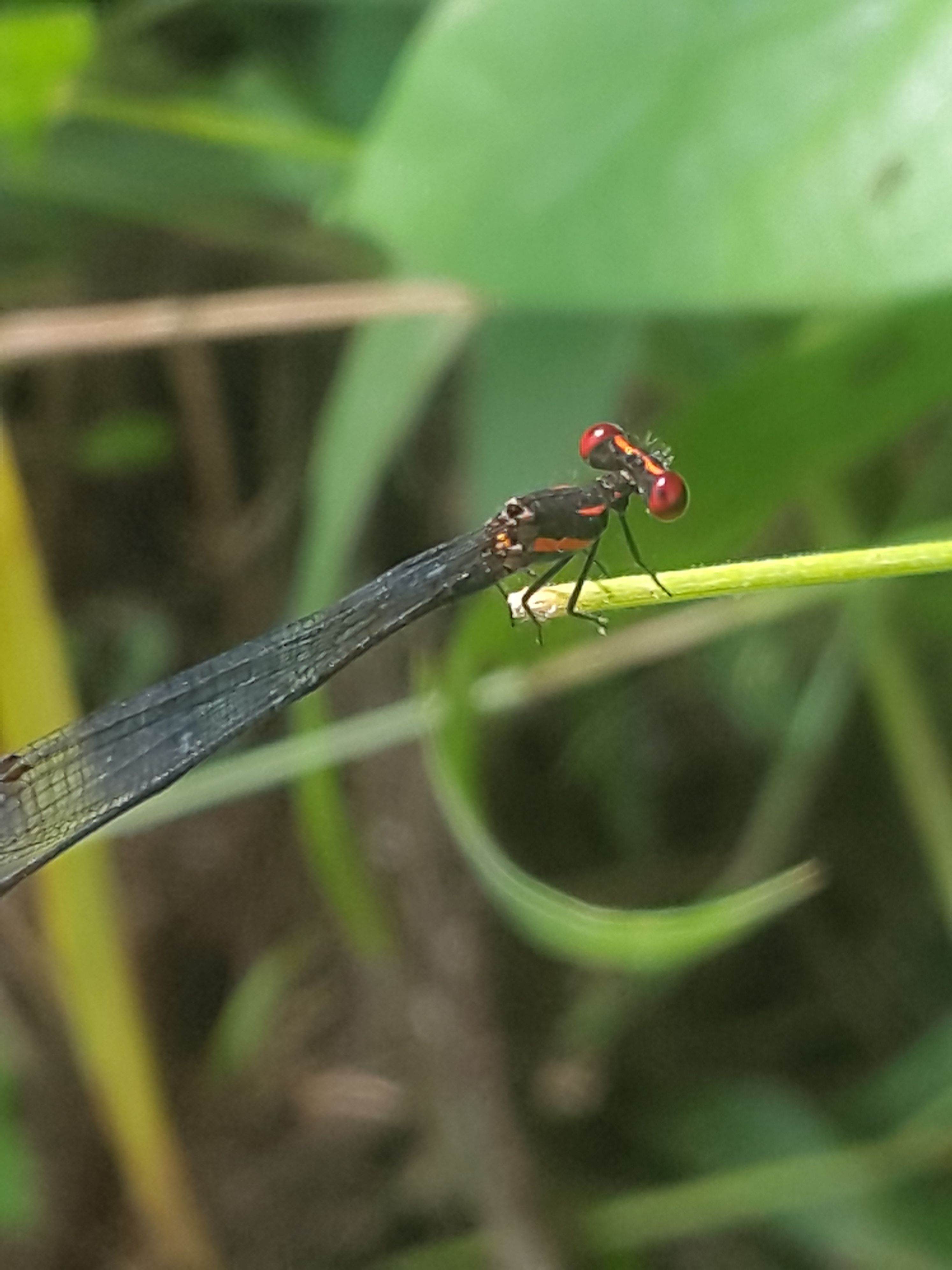 20180516_141950.jpg