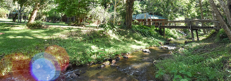 WatPaTamWuaForestMonastery_วัดป่าถ้ำวัว_11.jpg